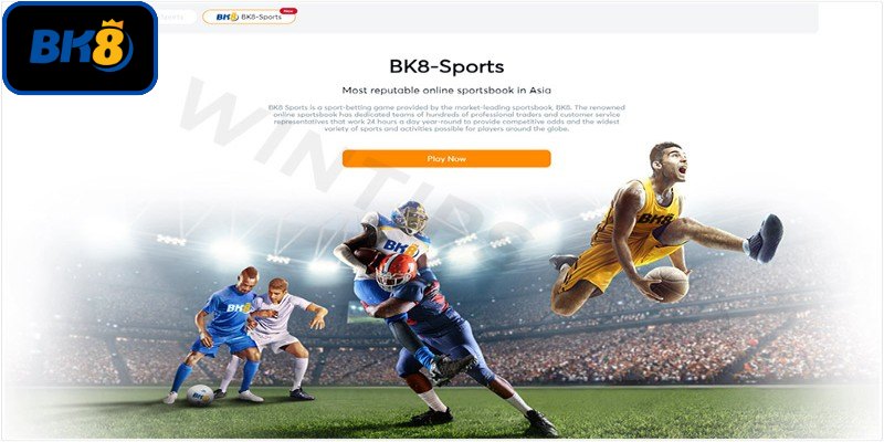 Khái quát sơ bộ về thể thao BK8 cuốn hút