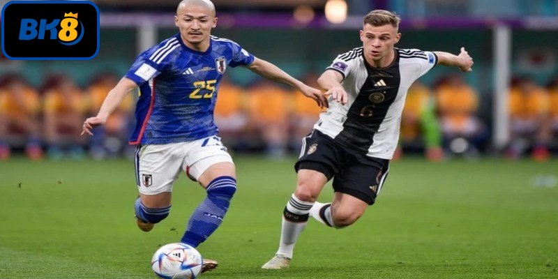 Một số hình thức cá cược nổi bật nhất hiện nay