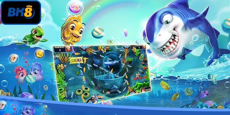 Những quy tắc cần ghi nhớ khi săn cá